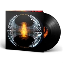 Pearl Jam  - Dark Matter (Vinyl) 
